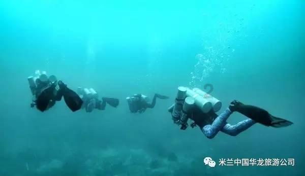 pr18芝麻酱正能量视频游戏画面